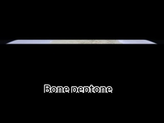 Peptone osseo enzimatico pH 5-7 Polvere gialla totale solubile in N 15%