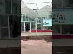 Fabbrica di aminoacidi Sichuan Shihong - Lulu