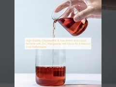 Oligopeptide ad alta stabilità e fertilizzante liquido ad acidi aminati liberi con zinco, manganese e silicio per migliorare le prestazioni dei raccolti