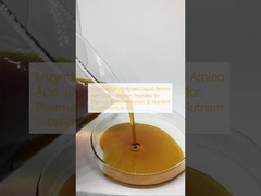 Aminoacidi liquidi idrolizzati enzimatici 50%     Proteine peptidi per farmaci, biofermentazione e integratori nutrizionali 8-0-0