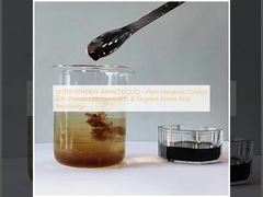 NUTRI-SYNERGY AMINO LIQUID