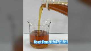La fermentazione potenziata produce proteine ​​enzimatiche di soia