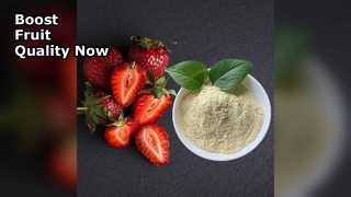 Il fertilizzante organico al calcio aumenta la resa dei frutti