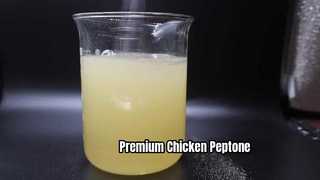 Peptone di pollo di grado biologico