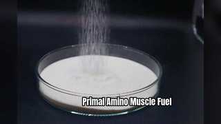 Recupero della crescita muscolare degli aminoacidi animali primordiali