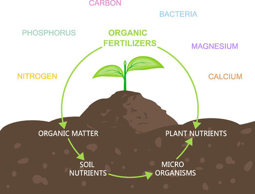 BioVita Total Amino Acid 80% Powder Fertilizer - 100% Water Soluble Plant Nutrition with 14% Organic Nitrogen
