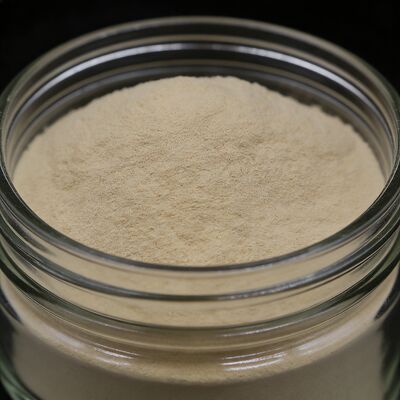 Amino Acid 90% Enzymatic Acid Fertilizer Powder Nutrition Organic Fertilizer